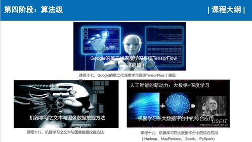 上海人工智能软件开发培训选择 容大职业与淘学培训对比分析
