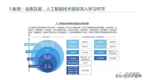 2019年人工智能基础软件开发白皮书 技术突破与生态构建